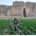 Farid Saba - Facebook
