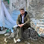farid - @faridsobhani78 - Instagram