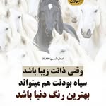 Farid - @farid.tanhadust - Instagram
