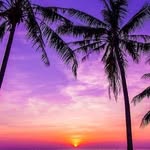 Farid Uddin - @ruhma_ayishah - Instagram