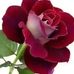 Farid Uddin - Facebook