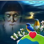 Farid Youssef - Facebook