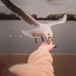 Farid youssef - @faridyoussef36 - Instagram