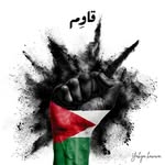 Farid Youssef - @dklfarid - Instagram