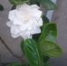 Farida Akter - Facebook