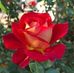 Farida Akter - Facebook