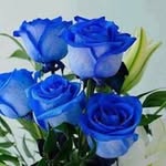 Farida Akter - @farida.akter.16597983150 - Instagram