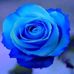 Farida Akter - Facebook