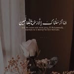 Farida Amer - @farida.amer.7355 - Instagram