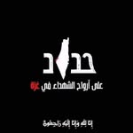 Farida Amer - @maha.amer.758 - Instagram