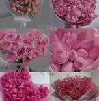 Farida Badr - Facebook
