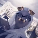 Farida Badr - @farida37020 - Instagram