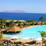 Farida Badr - @badr.farida - Instagram