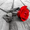 Farida Bana - @farida.bana8 - TikTok