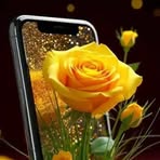 Farida Bashir - Facebook