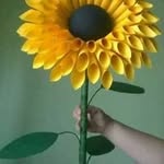 Farida Bashir - @farida.bashir.3572 - Instagram