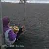 Farida Habibi - @faridahabibi2 - TikTok