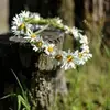 faridahabibi503 - @faridahabibi503 - TikTok
