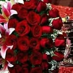 Farida Hashimi - @hashimi9401 - Instagram