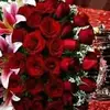 faridahashimi6 - @faridahashimi6 - TikTok