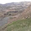 ££ - @farida.hashimi66 - TikTok