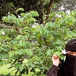 Farida islam - @fariaislam_509 - Instagram