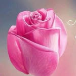 farida malik - @faridamalik265 - Instagram