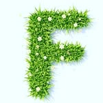 Farida Memon - @faridamemon716 - Instagram