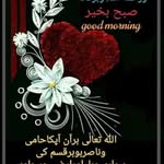 Farida Memon Farida Memon - @faridamemonfaridamemon - Instagram