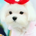 farida mohammad - @faridamohammad321 - Instagram