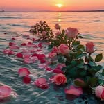 Farida Mohammed - @faridamohammed140 - Instagram