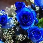 Farida Munir - @farida123_43 - Instagram