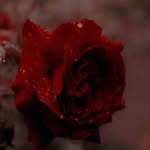farida munir - @user269571 - Instagram