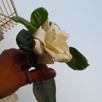 Farida Rahman - Facebook