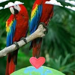 Farida Rahman - Facebook