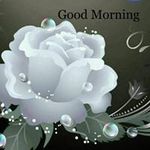 Farida Rangwala - @farida.s.r - Instagram