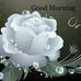 Farida Rangwala - Facebook