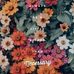 Farida Rangwala - Facebook