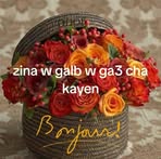 Farida Safi - Facebook