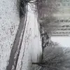 Farida Safi - @farida.safi3 - TikTok