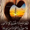Farida safi - @amalelazami - TikTok