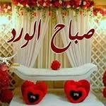 Farida Shaban - @farida.shaban.144 - Instagram