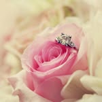 farida shah - @farida.shah - Instagram