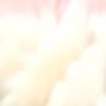 Farida Shah - @faridashah71 - Instagram