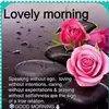 Faridahshah Faridahs - @faridahshahfarida - TikTok