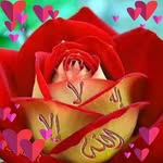 Farida Youssef - @farida.youssef.121 - Instagram
