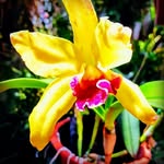 Faridah Mohammad - @fm201770 - Instagram