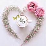 faride_ahmadzadeh - @ahmadzadeh_faride - Instagram