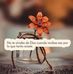Faride Blanco - Facebook
