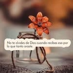 Faride Blanco - @blancofaride - Instagram